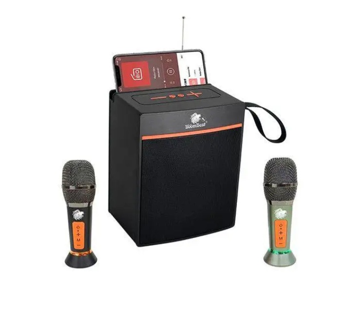Enceinte Bluetooth BOOMBEST LN-1036Mic – Image 2